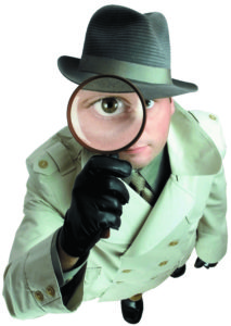 The Inspector